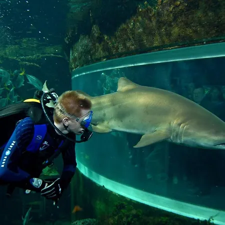 D'hotes Cote D'opale La Fermette Du Bed & Breakfast Ardres