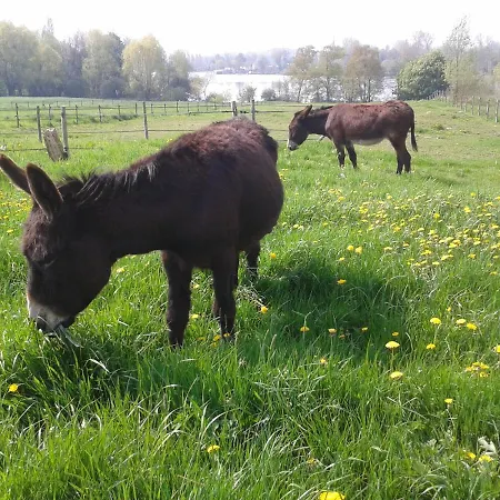 D'hotes Cote D'opale La Fermette Du 3*